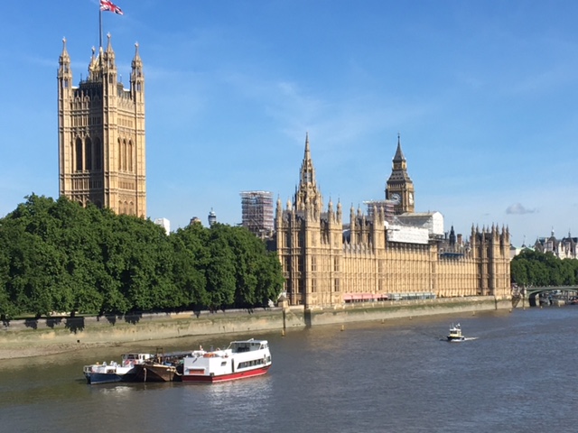 Thames river cruises leave from Westminster, Waterloo, & Tower Pier
